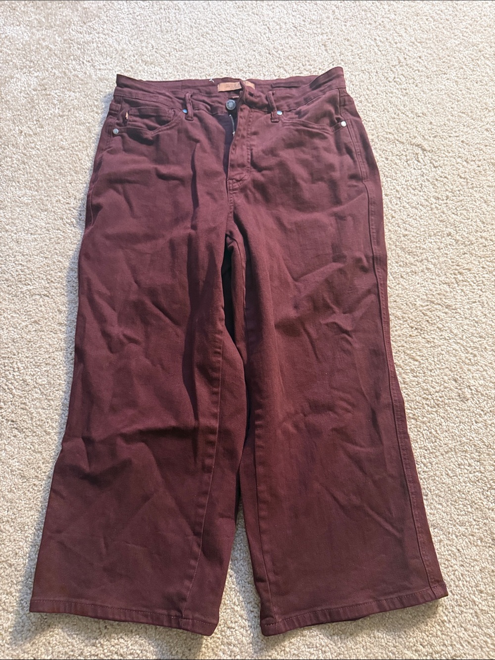 Never worn Judy Blue Deep Wine Skinny Jeans Size 14W